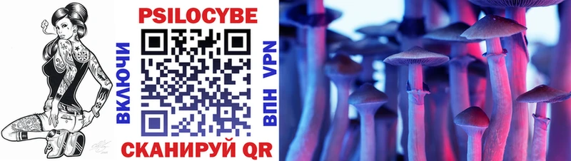 Псилоцибиновые грибы прущие грибы  купить наркотики цена  Томари 
